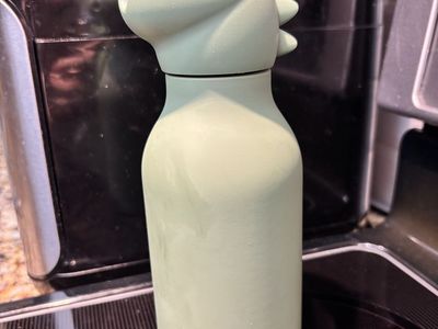 Asobu 16 oz Green Stainless Steel Kids Dino Bottle