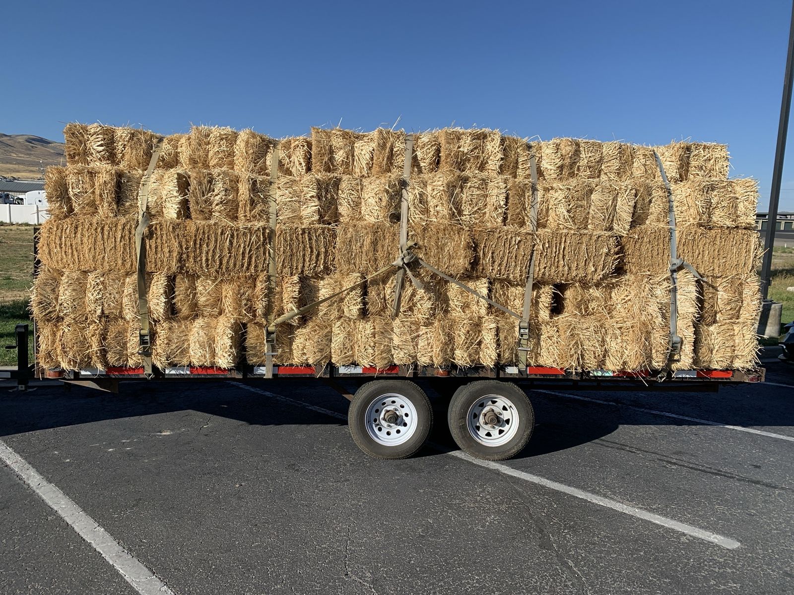 Organic Wheat Straw