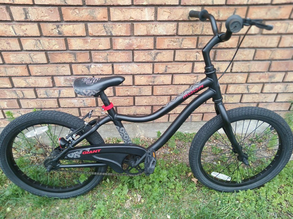 Giant 20" Kids Bike
