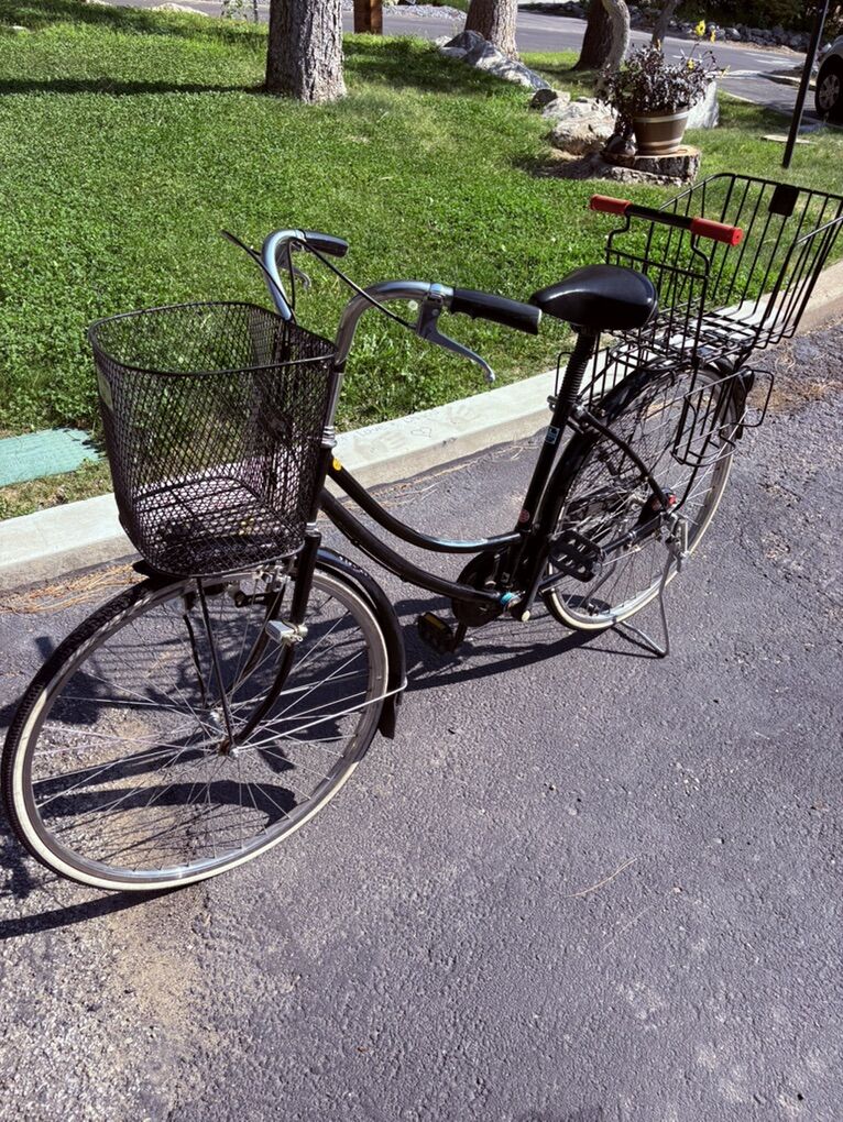 Vintage Town Cruiser - Tokyo Mystery Bike