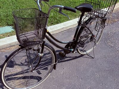 Vintage Town Cruiser - Tokyo Mystery Bike