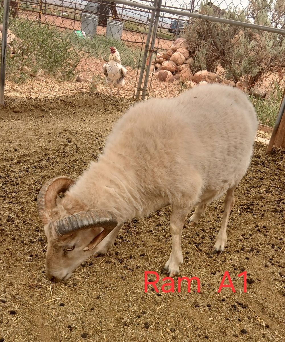 Main image 2