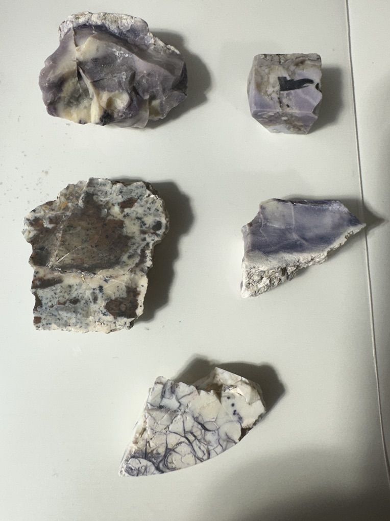 Main image 16