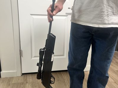 Pellet gun