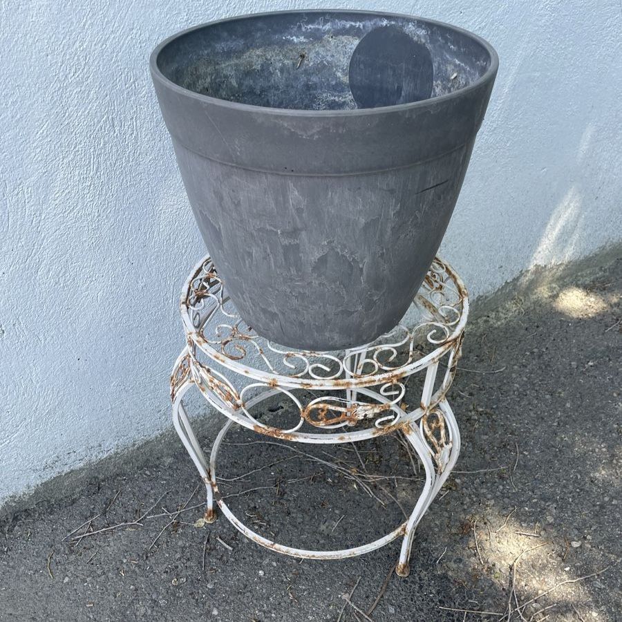 Main image 7
