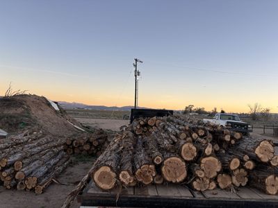 Cedar Posts And Staves
