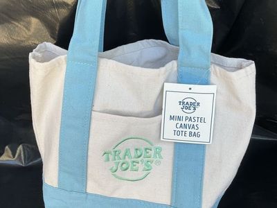Trader Joe's Mini Pastel Canvas Tote Bag - Blue/Cream with Embroidered Logo, New with Tags
