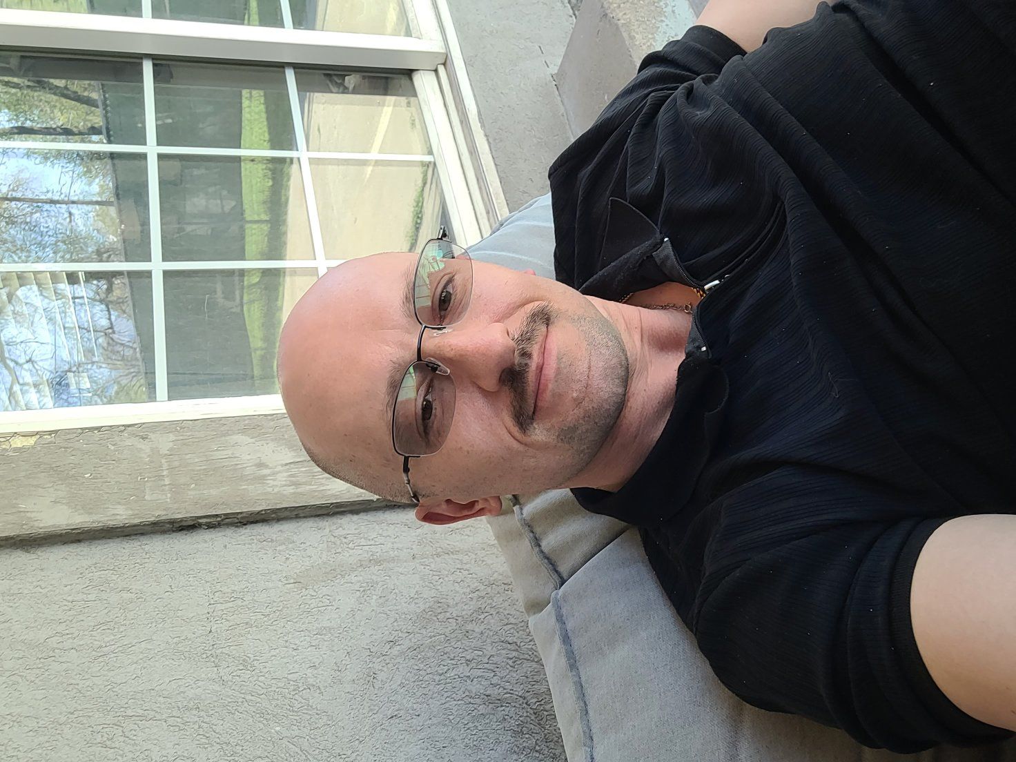 ISO Young adult Boston terrier