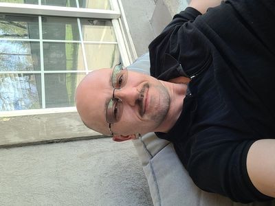 ISO Young adult Boston terrier