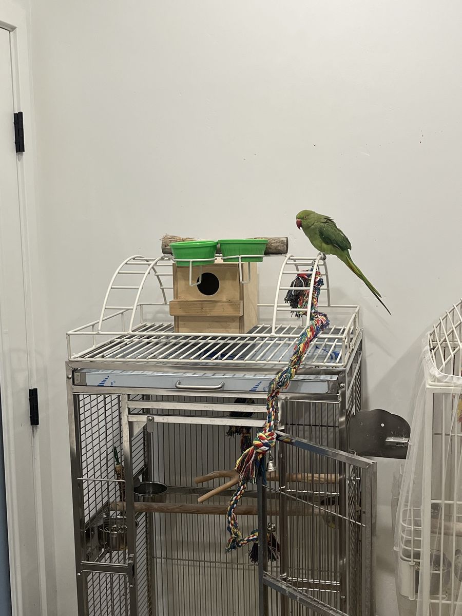 Main image 3