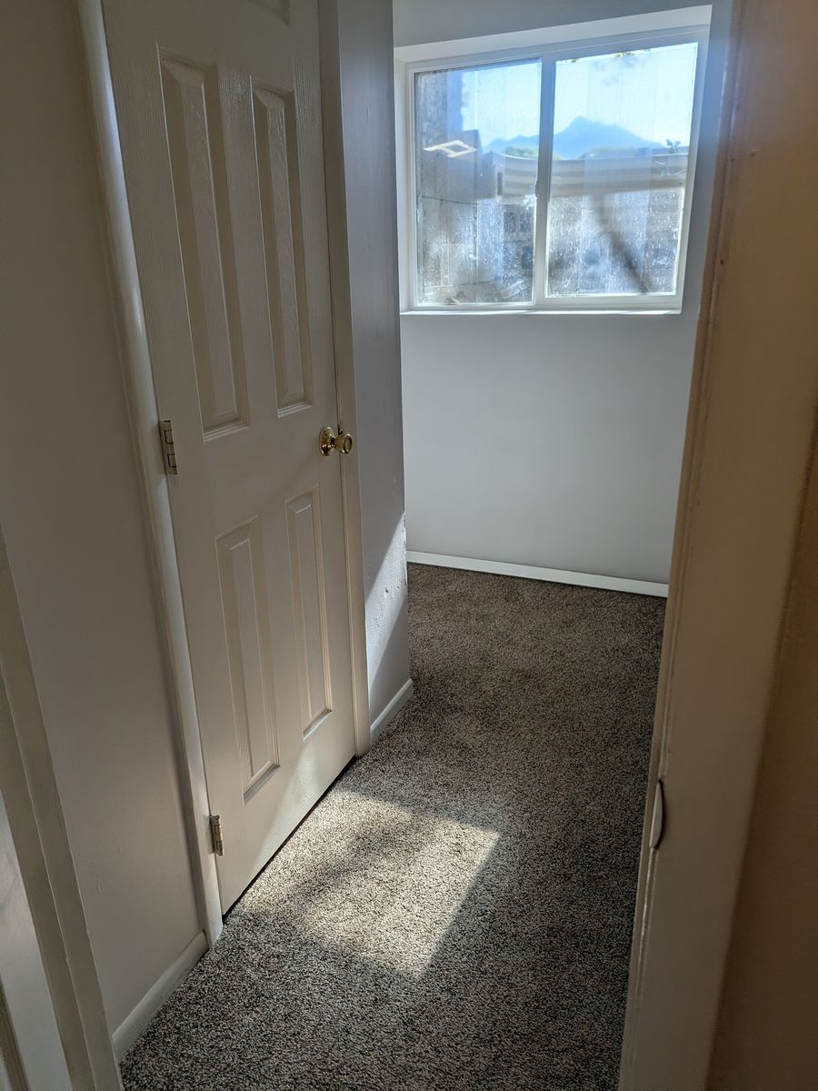 Main image 11