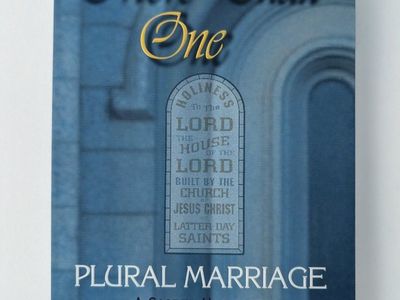 More Than One: Plural Marriage by Shane LeGrande Whelan, Religious Non-fiction Book
