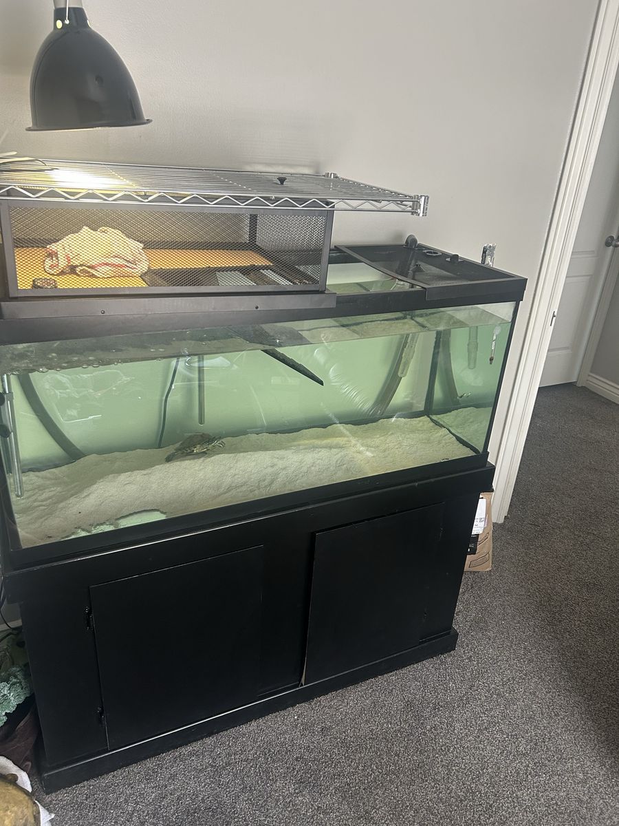 Large Glass Turtle Tank with Black Stand, Basking Area, and Accessories
