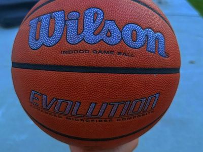 Wilson Evolutain basketball