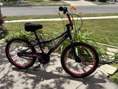 20” Schwinn Falcon