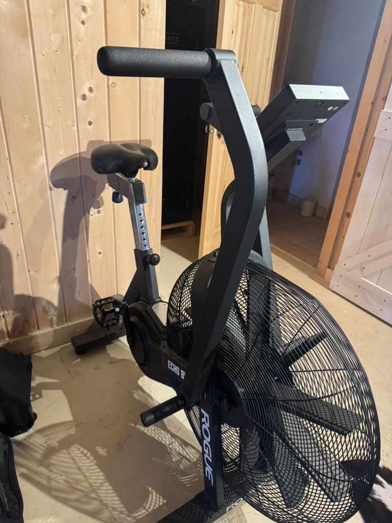 Rogue Echo Bike LIKE NEW