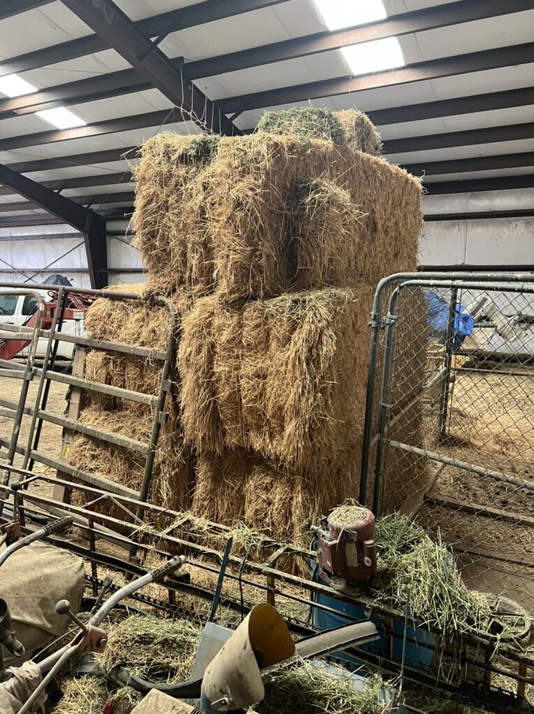 3 X 3 Bells Of Straw