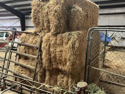 3 X 3 Bells Of Straw