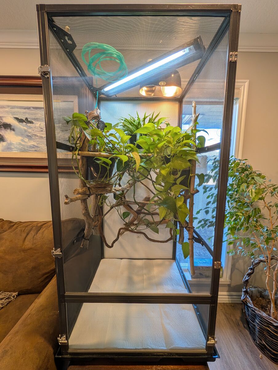 Chameleon Cage