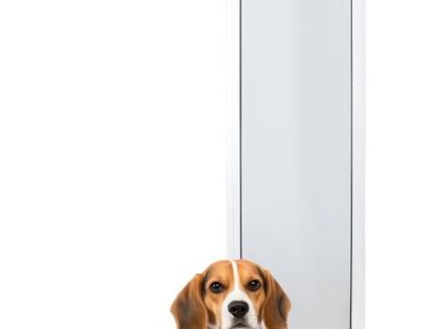 PetSafe Sliding Glass Pet Door, 1 Piece, Medium Dogs to 40 lb, White