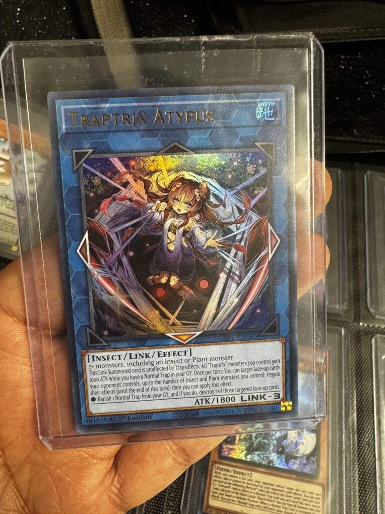 Holo Traptrix Atypus