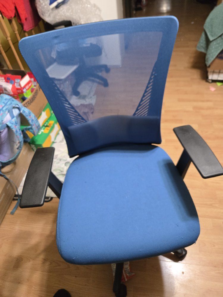 Blue Mesh Office Chair with Adjustable Armrests and Lumbar Support