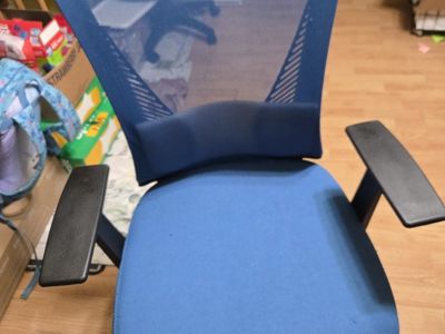 Blue Mesh Office Chair with Adjustable Armrests and Lumbar Support