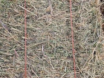 Alfalfa/grass hay for sale