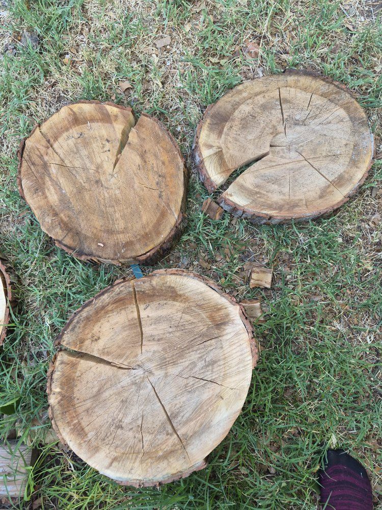 Silver Maple Rounds,  $10 each. cash