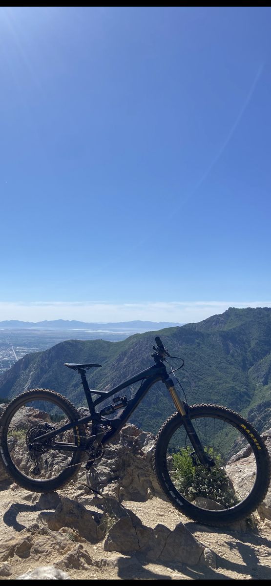 2019 YT Capra Cf Pro