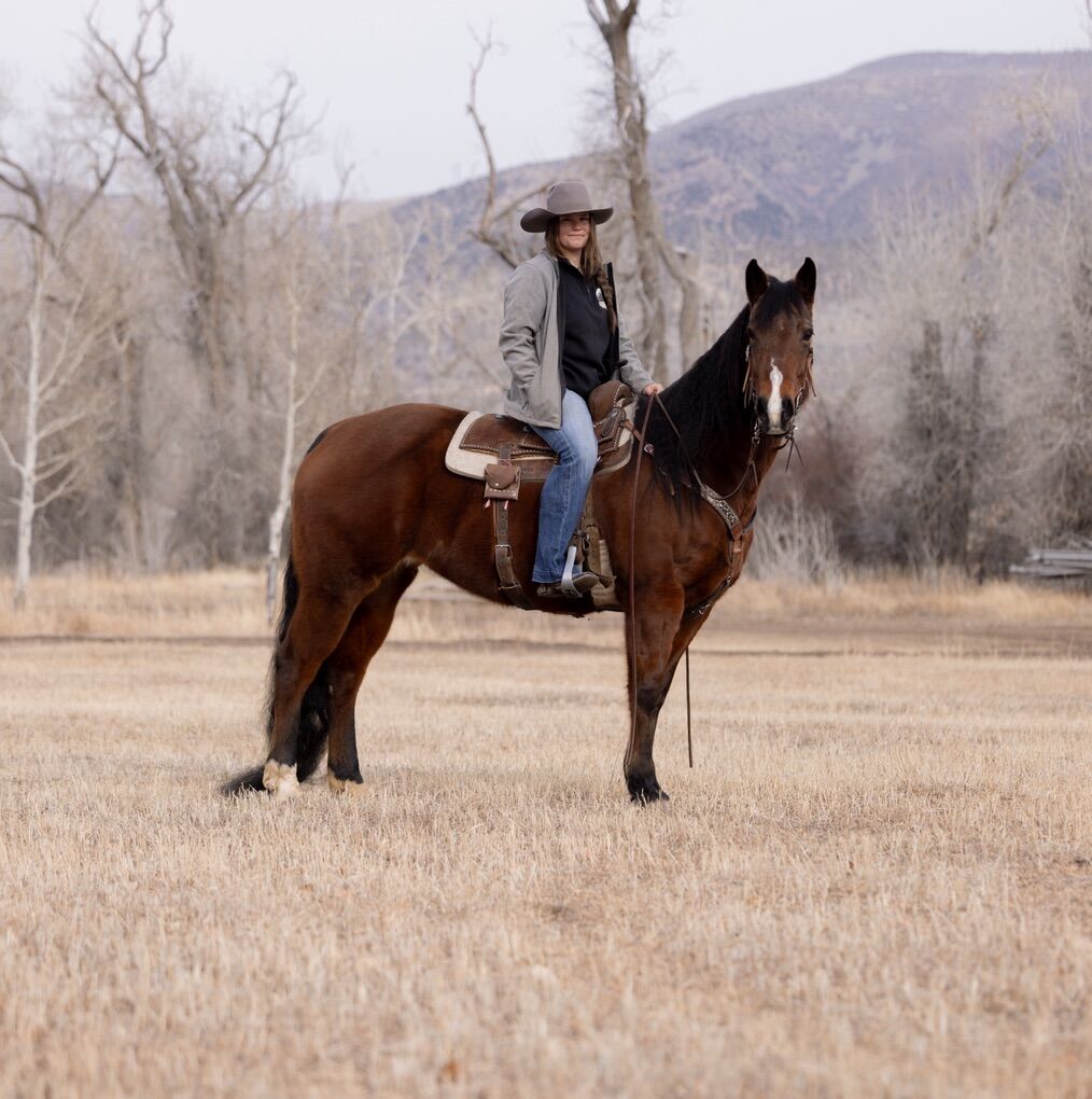 AQHA Mare For The Whole Family