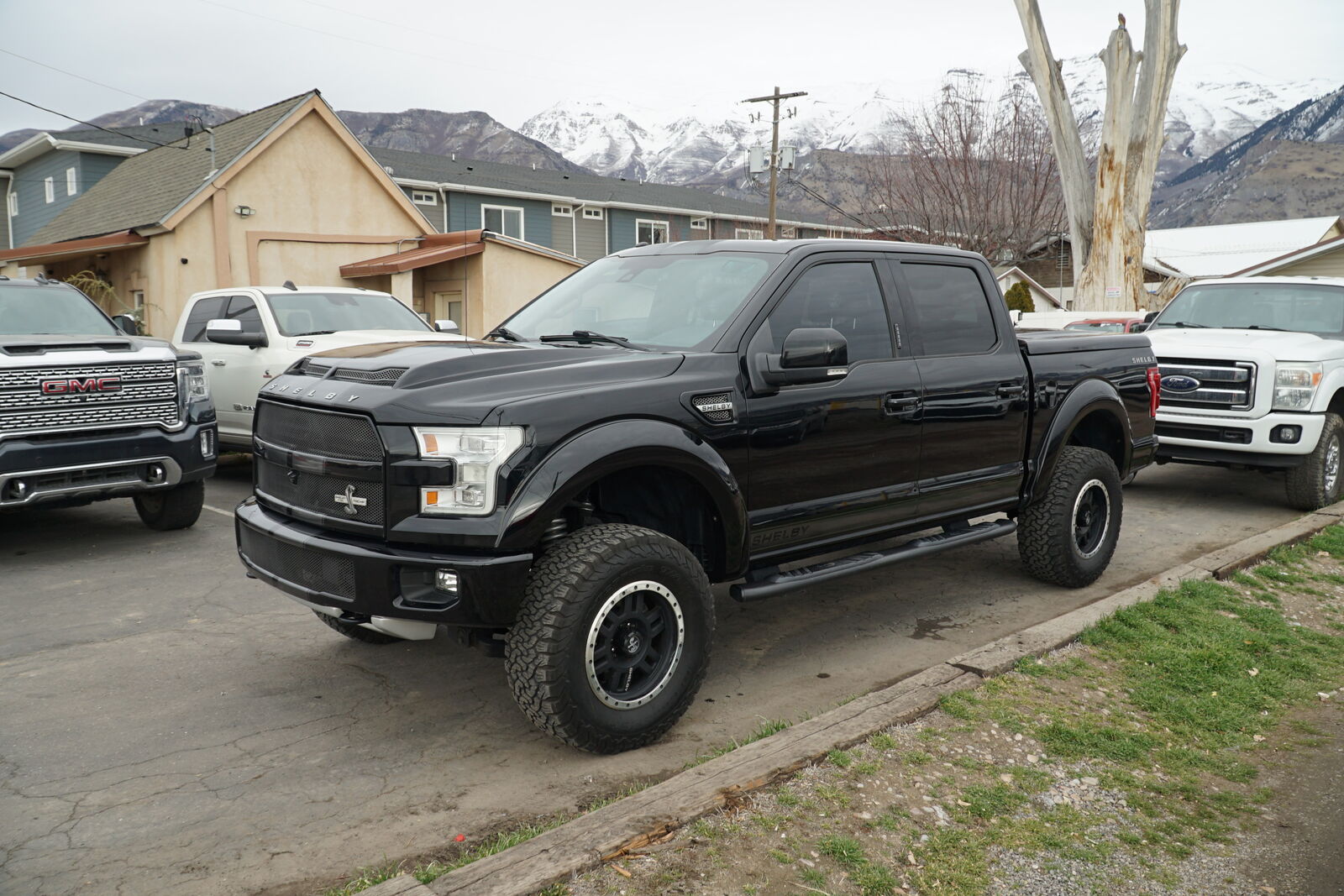 2016 Ford F-150 Shelby