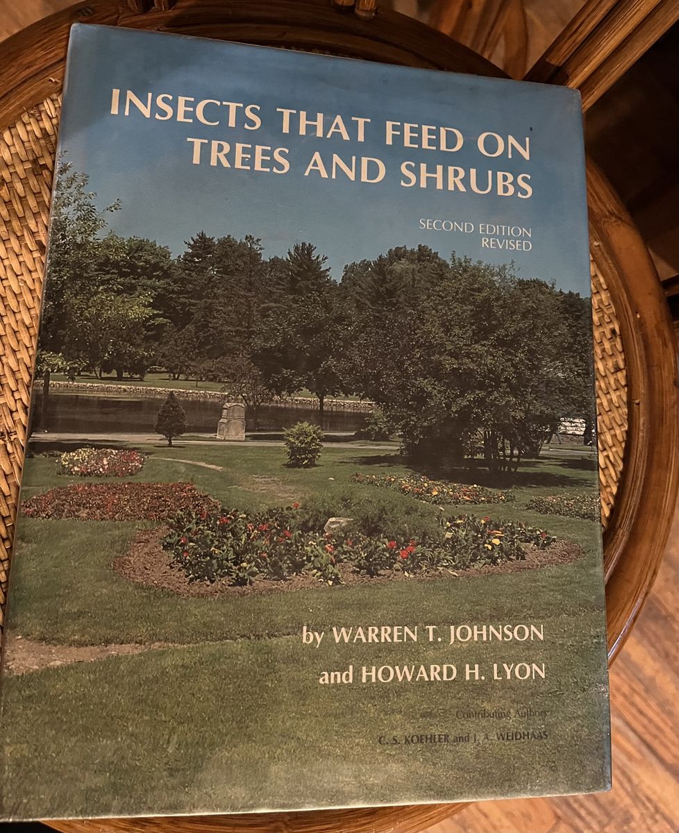 Insects that feed on trees and shrubs