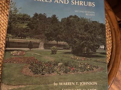 Insects that feed on trees and shrubs