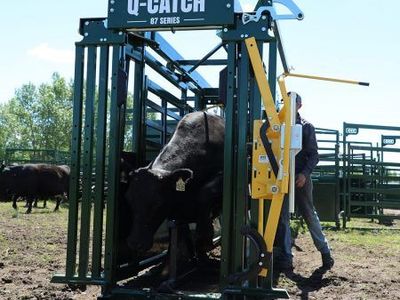 Arrowquip 87C Portable Corral with Squeeze Chute