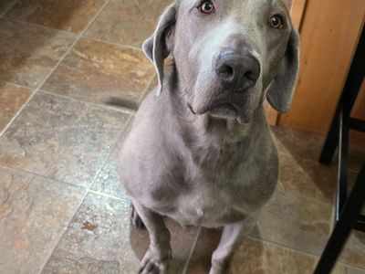 Hello my name is Maverik