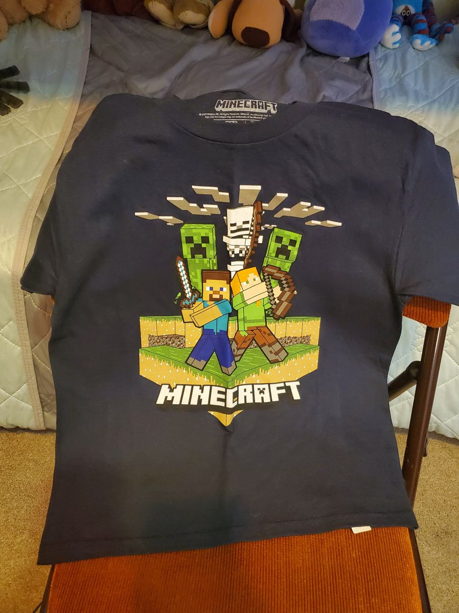 Young Boys Size 10-12 Minecraft and Hot Wheels T-Shirts
