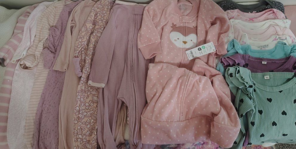 Baby Girl's Clothing Lot: Carter's, Child of Mine, Disney - 6-9 and 9 months, 60+ pcs.