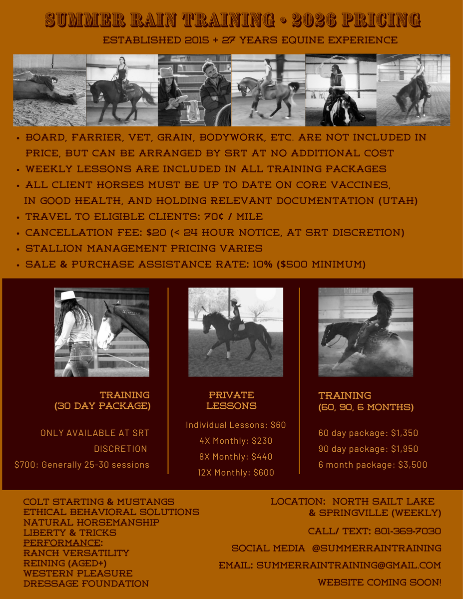 Quality Horse Training, Lessons, ETC.