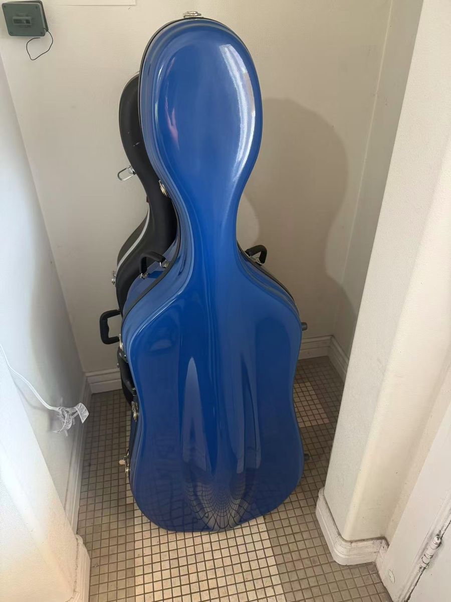 BRAND NEW CELLO BOBLCOK CASE 2000