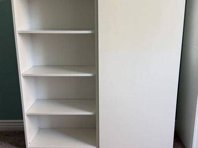 White 2-Door Storage Cabinet with Adjustable Shelves