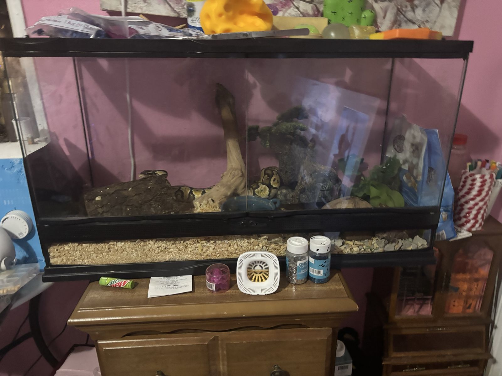 Used Large Reptile Tank with Snake