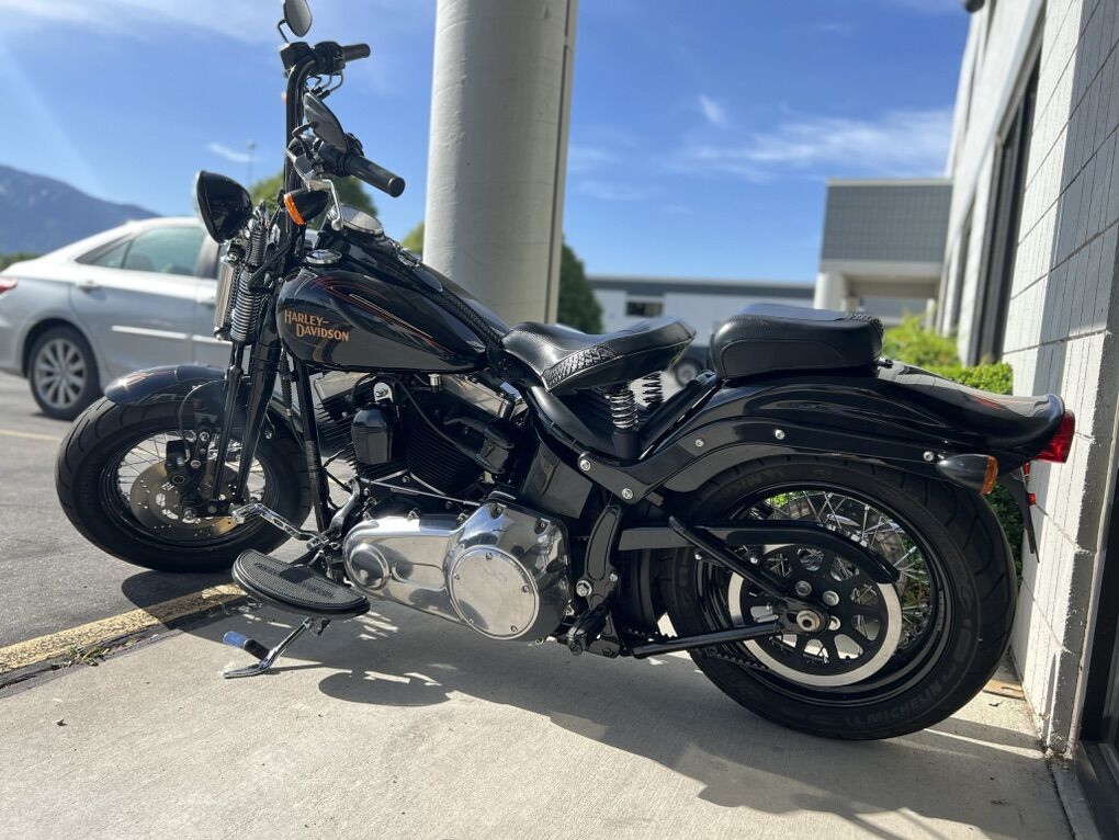 Harley Davidson Crossbones FLSTSB 2010