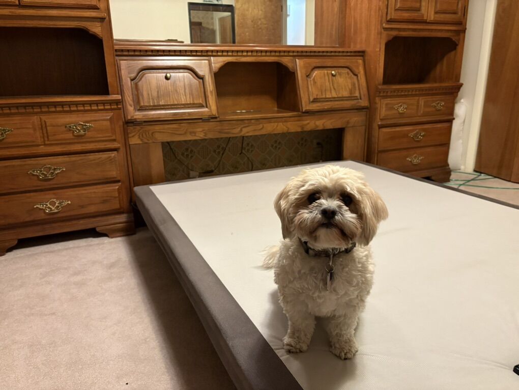 Vintage Sumter Cabinet Co Wall Bed Unit