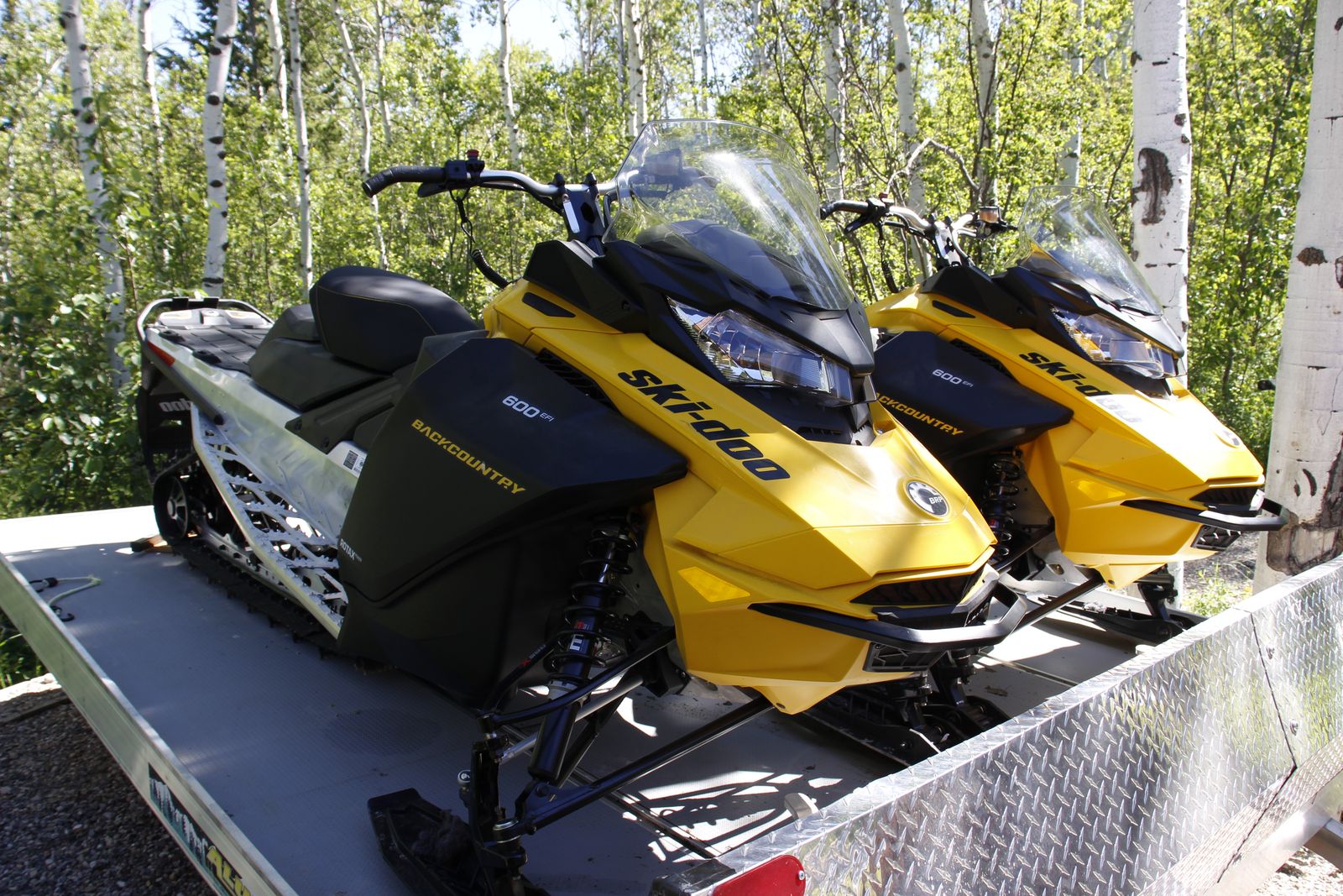 Skidoo Backcountry Sport