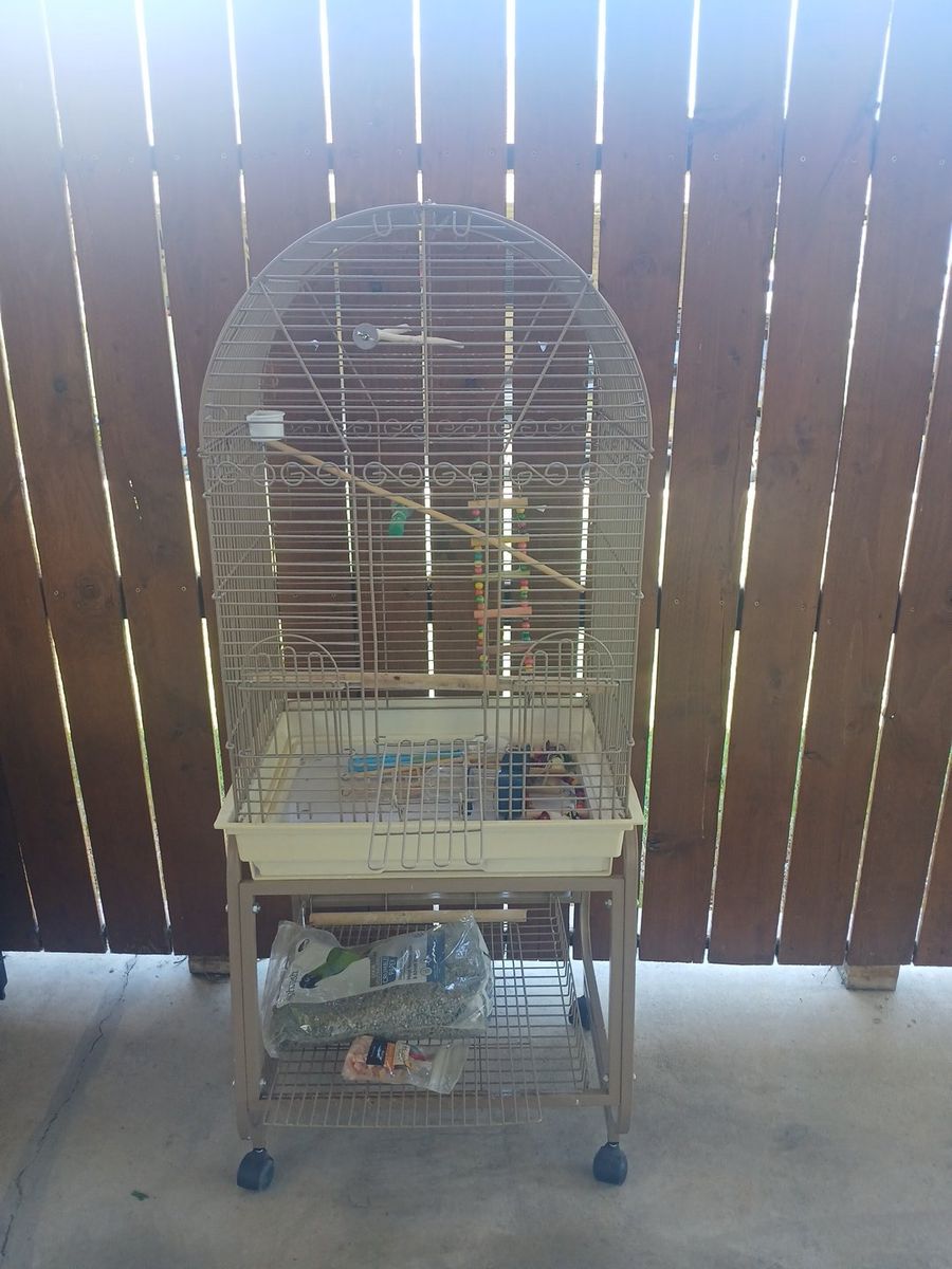 bird cage
