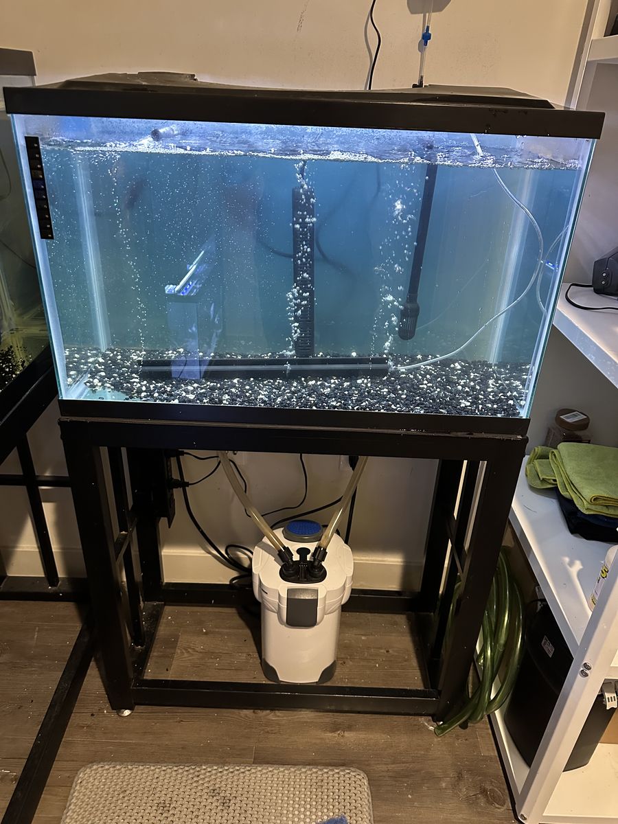 Fish Tank 29 Gallons and  Stand