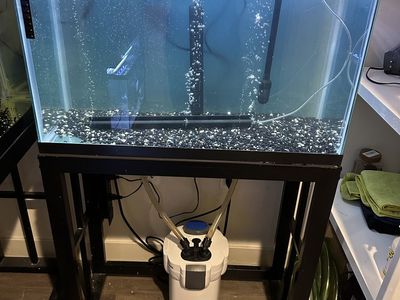 Fish Tank 29 Gallons and Stand