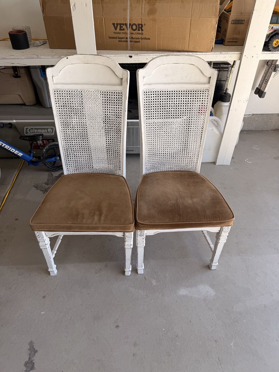 Set of 2 Vintage Distressed White Cane Back Dining Chairs with Brown Velvet Seats