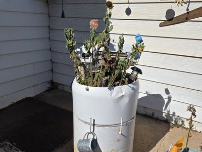 Vintage Washing Machine Tub Used as Garden Planter Yard Art